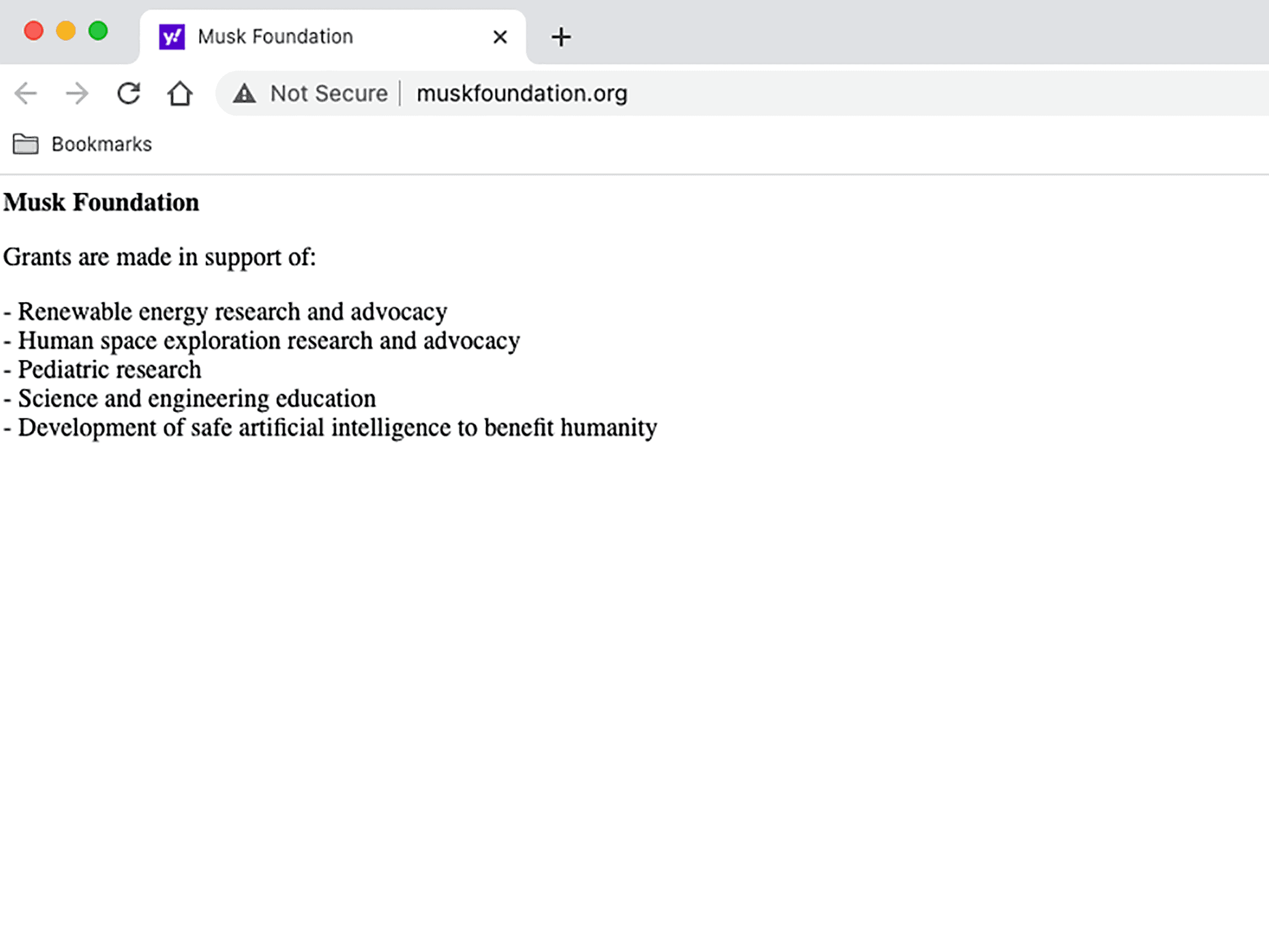 The Musk Foundation website: seven lines of text on a white background